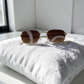 Lunettes Unisexe Marron Dégradé