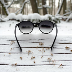 Lunettes rondes noires – Verres dégradés gris