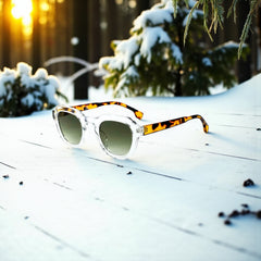 Monture transparente & branches écaille