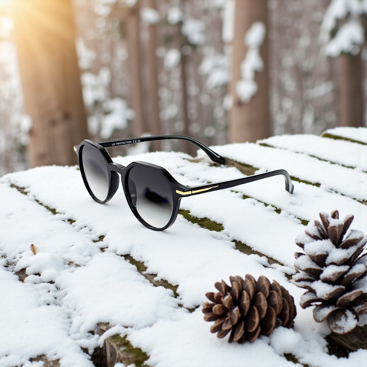 Lunettes rondes noires – Verres dégradés gris