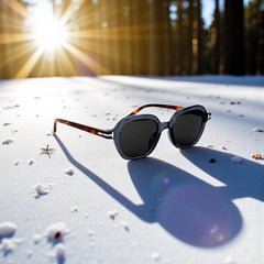 Lunettes rondes noires – Verres dégradés gris