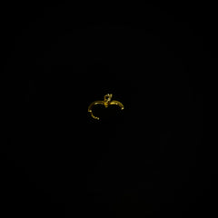 Piercing Créole Éclat Doré