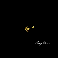 Piercing Oreille – Éclat Floral Doré