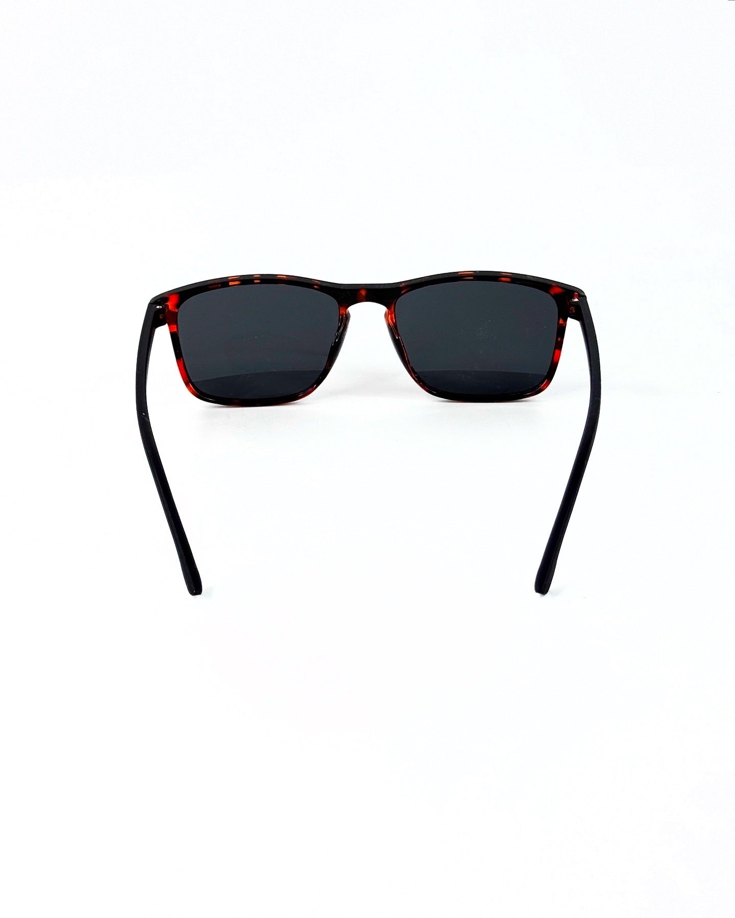 Lunettes de Soleil Polarisées Style Wayfarer – Mix Couleurs